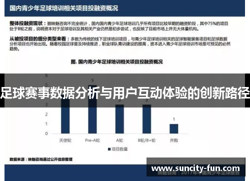 足球赛事数据分析与用户互动体验的创新路径